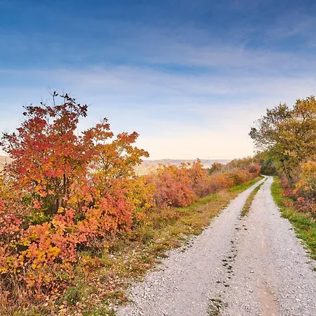 Cupilija - Parenzana Bike Trail Daire Umag
